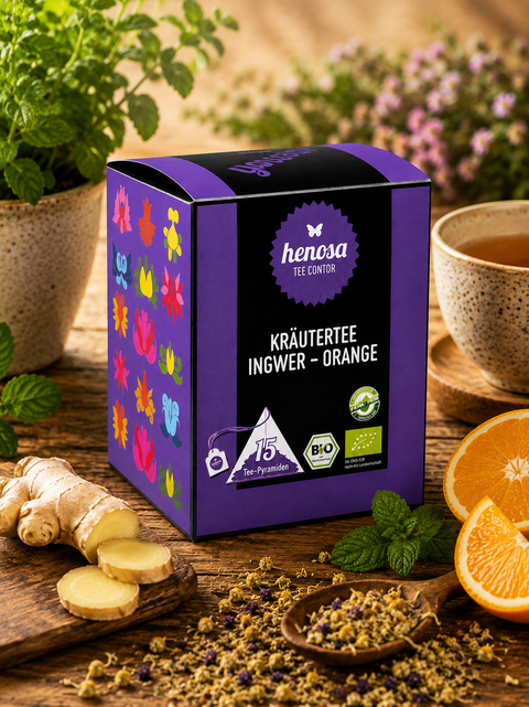 Kräutertee Ingwer/Orange Box Bio